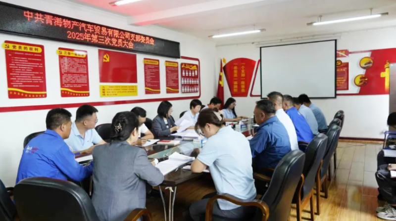 汽貿(mào)公司黨支部深入學習貫徹落實省委十四屆九次全會精神